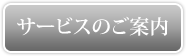 �T�[�r�X�̂��ē�
